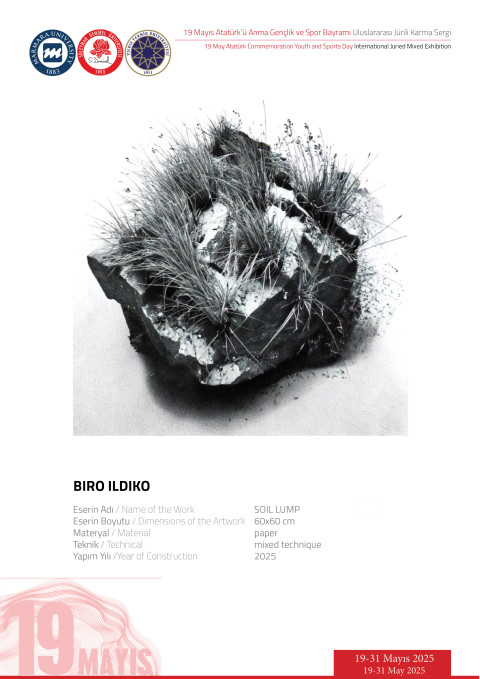 BIRO ILDIKO